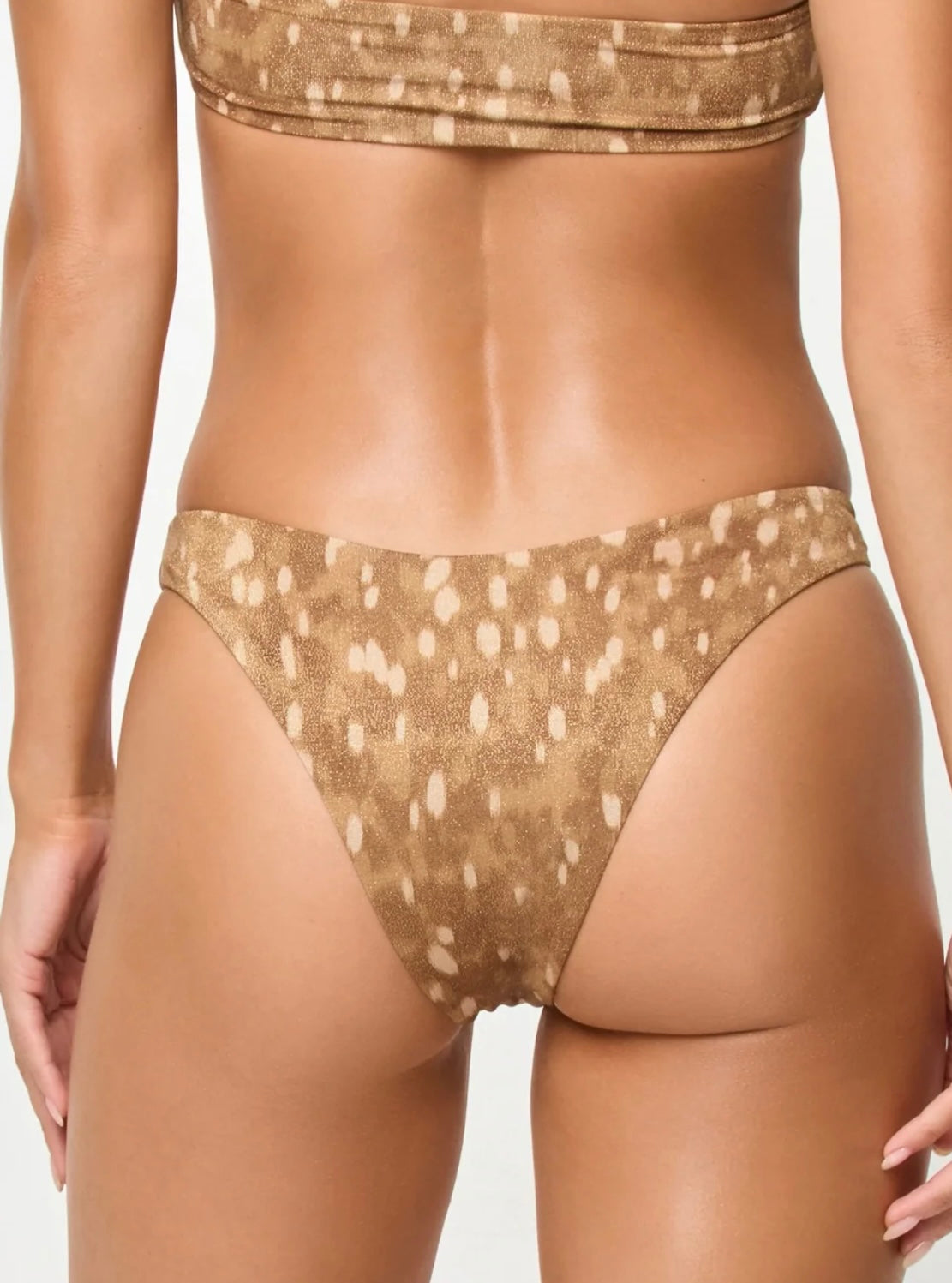 VEGA BOTTOMS